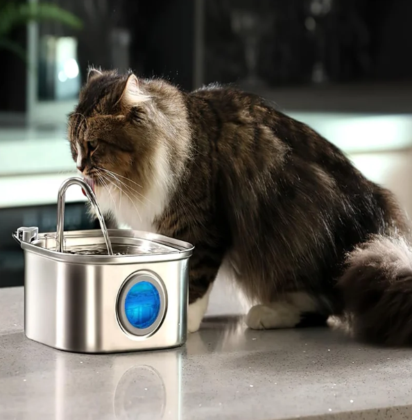 Meowly Pure Water Fountain™